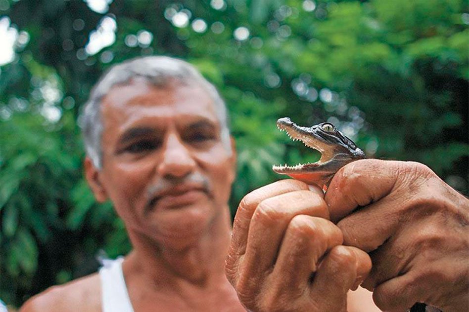 Get Up Close and Personal with Wildlife at Amte Animal Ark in Mumbai